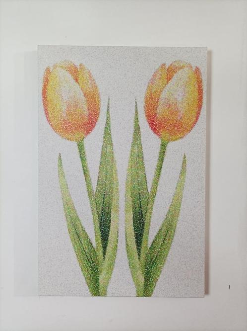 Tweeling oranje tulpen. Digitale kunst., Antiek en Kunst, Kunst | Schilderijen | Modern, Ophalen of Verzenden