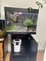 SUPERFISH Crystal 100 aquarium set zwart, Dieren en Toebehoren, Vissen | Aquaria en Toebehoren, Ophalen, Zo goed als nieuw, Gevuld zoetwateraquarium