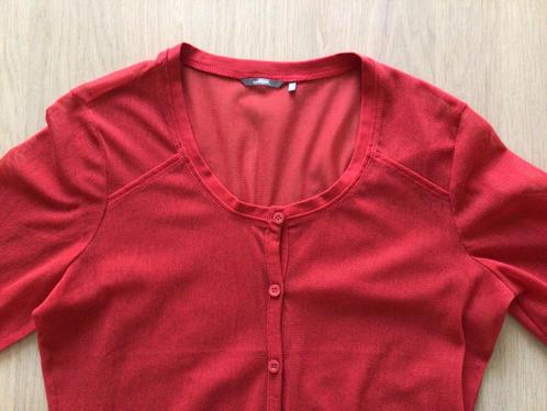 Sandwich vestje maat 38 / M rood nieuw mesh mooi met topje, Kleding | Dames, Truien en Vesten, Nieuw, Maat 38/40 (M), Rood, Ophalen of Verzenden