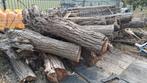 Haard hout wilgen hout kachel, 6 m³ of meer, Ophalen, Overige houtsoorten, Stammen