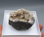 Calciet, Pyriet - Büschhof Quarry, Wirtenbach, Duitsland, Ophalen of Verzenden, Mineraal