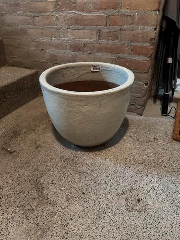 Zware bloempot / plantenpot van Intratuin beschikbaar voor biedingen