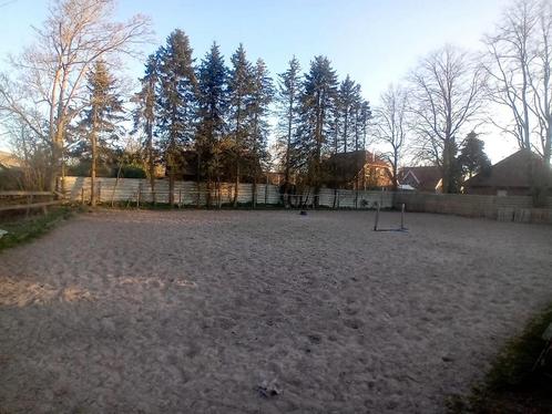 Pension stalling /paarden stalling, Dieren en Toebehoren, Stalling en Weidegang, Stalling