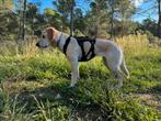 Non-stop - Hondentuig "Rock Harness Long" | M, Dieren en Toebehoren, Ophalen of Verzenden, Zo goed als nieuw