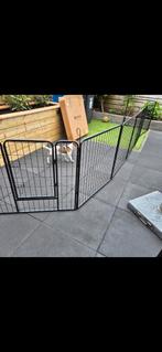 Honden ren., Ophalen, Zo goed als nieuw, 110 cm of meer, 65 tot 100 cm
