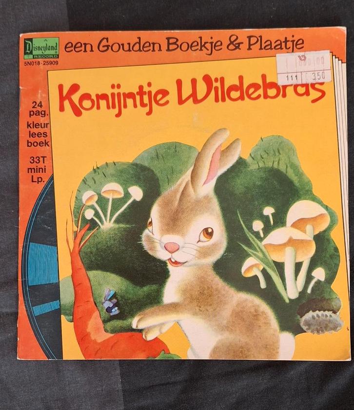 Disney – Konijntje Wildebras | Origineel leesboek + vin, Cd's en Dvd's, Vinyl Singles, Zo goed als nieuw, Single, Kinderen en Jeugd