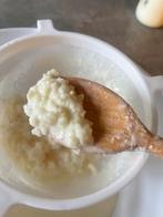 Rauwmelkse kefir korrels, Diversen, Ophalen