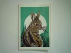 Kunstkaart Marieke ten Berge haas konijn, Verzenden, 1980 tot heden