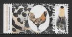 2017, Kippenrassen, Nederlandse Uilebaard [3492] (K2605), Ophalen of Verzenden