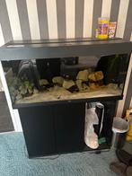 Juwel Rio 180 + vissen en toebehoren., Ophalen, Gevuld zoetwateraquarium