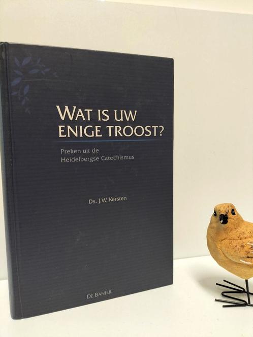 Kersten, Ds. J.W. ; Wat is uw enige troost?, Boeken, Godsdienst en Theologie, Gelezen, Christendom | Protestants, Ophalen of Verzenden