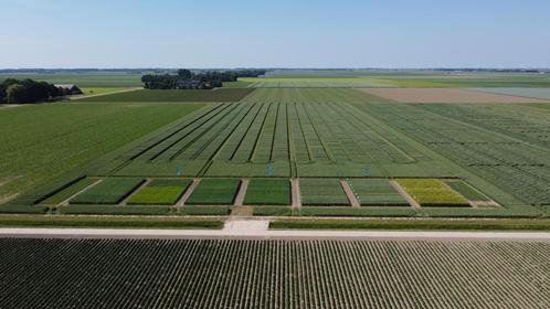 Proefveld-medewerker (Dronten), Vacatures, Vacatures | Landbouw, Natuur en Milieu, Tijdelijk contract, Variabele uren