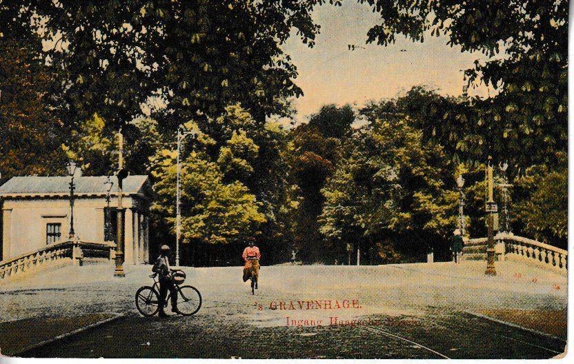 's-GRAVENHAGE - INGANG HAAGSCHE BOSCH, Verzamelen, Ophalen of Verzenden, 1920 tot 1940, Ongelopen, Zuid-Holland