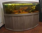 Aquarium leeg  2 meter zonder pompen, Dieren en Toebehoren, Vissen | Aquaria en Toebehoren, Ophalen, Gebruikt, Gevuld zoetwateraquarium