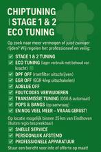 Chiptuning Stage 1 & 2 | Eco Tuning, Ophalen of Verzenden
