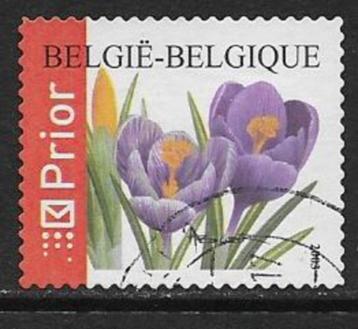België 2003   Krokus   3276 beschikbaar voor biedingen