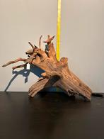 Prachtig stuk Kienhout / Driftwood / Spiderwood #5 Aquarium, Ophalen of Verzenden, Zo goed als nieuw, Plant(en), Steen of Hout