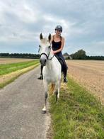Energieke bijrijder / verzorger aangeboden, Dieren en Toebehoren, Stalling en Weidegang, Stalling, 1 paard of pony
