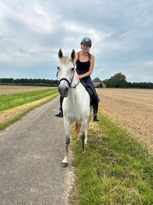 Energieke bijrijder / verzorger aangeboden, Dieren en Toebehoren, Stalling en Weidegang, Stalling, 1 paard of pony