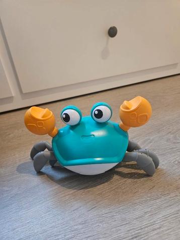 Wandelende krab beschikbaar voor biedingen