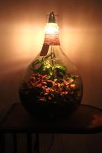Ecosysteem/planten terrarium/flessentuin met licht, Huis en Inrichting, Overige soorten, Minder dan 100 cm, Halfschaduw, In pot