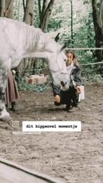 Energy healing bij paarden + Zelf leren toepassen, Ophalen, Nieuw, Overige soorten