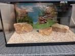 Aquarium 60 cm juwel, Dieren en Toebehoren, Ophalen, Leeg aquarium