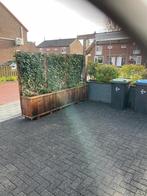 3 Bloembakken met Klimop & Terrasafscheiding, Tuin en Terras, Ophalen, Gebruikt, 100 cm of meer, Balkon