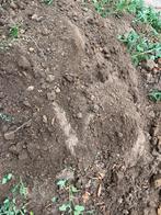 Teelaarde  tuinaarde gratis ophalen Z.S.M., Tuin en Terras, Aarde en Mest, Ophalen, Tuinaarde