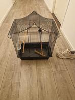Vogelkooi, Dieren en Toebehoren, Vogels | Hokken en Kooien, Ophalen, Gebruikt, Metaal, Vogelkooi