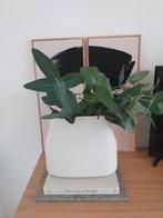 Originele BOLIA vaas in zandkleur in zeer nette staat, Overige kleuren, Ophalen of Verzenden, Minder dan 50 cm, Glas