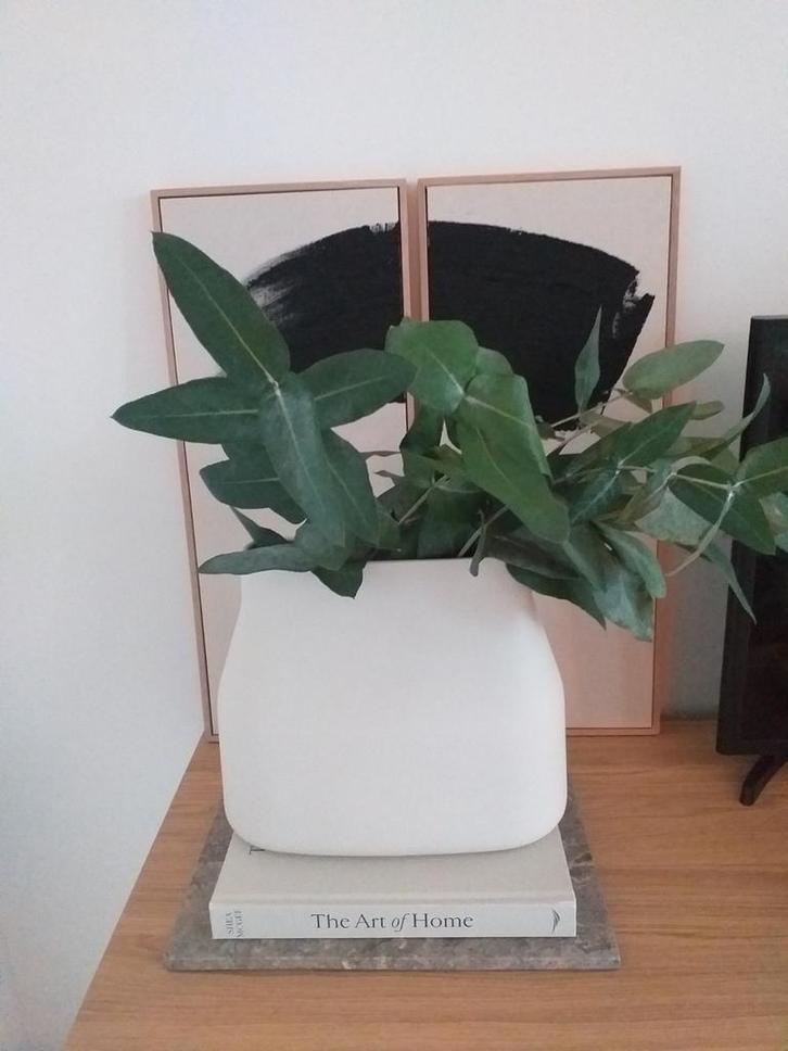 Originele BOLIA vaas in zandkleur in zeer nette staat, Huis en Inrichting, Woonaccessoires | Vazen, Zo goed als nieuw, Overige kleuren