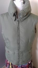 groene bodywarmer, Ophalen of Verzenden, Nieuw, Maat 36 (S), Groen