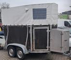 paardentrailer met kenteken voor 2 paarden, Ophalen, Gebruikt