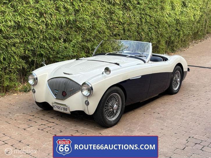 Austin Healey 100M | 1956 | Route 66 Auctions, Auto's, Oldtimers, Bedrijf, Te koop, Austin, Benzine, Overige carrosserieën, Handgeschakeld