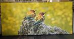 Te koop: Foto op jute op houten frame van twee Bijeneters., Ophalen, Zo goed als nieuw