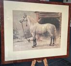 Russische draver, Ophalen, Gebruikt, Dressuur