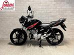 YAMAHA YBR 125 (bj 2013), Bedrijf, Onbekend, YAMAHA, Onbekend