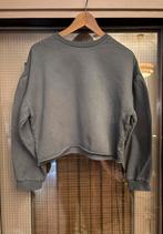 Prachtige sweater/trui van Ame Antwerp, Kleding | Dames, Verzenden, Zo goed als nieuw, Blauw