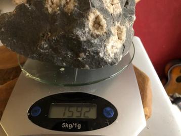 Nr3 ruwe pyriet1592gram beschikbaar voor biedingen