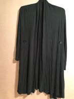 Vest maat M, Kleding | Dames, Ophalen of Verzenden, Zo goed als nieuw, Maat 38/40 (M)