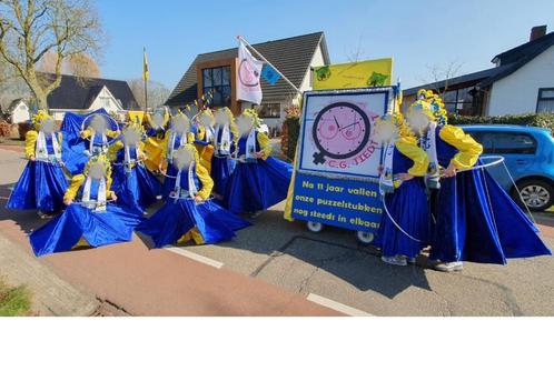 Complete Carnavalsoutfits - 12 stuks - Handgemaakt & prijs!, Kleding | Dames, Carnavalskleding en Feestkleding, Zo goed als nieuw