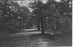 Zeist  Voomberghlaan in't Zeister Bosch., Ophalen of Verzenden, 1940 tot 1960, Ongelopen, Utrecht