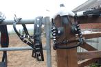 Te koop super gave en unieke min shetlander mentuig, Dieren en Toebehoren, ., Ophalen of Verzenden, ., .