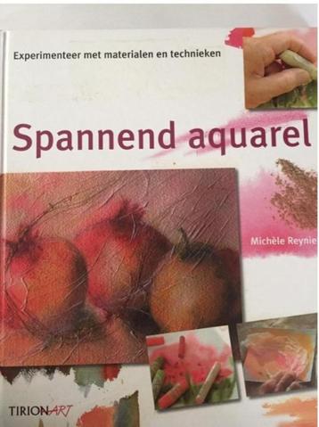 Spannend aquarel - Michele Reynier beschikbaar voor biedingen