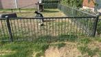 Hekken, Tuin en Terras, Tuinhekken en Hekwerk, Ophalen, Zo goed als nieuw, IJzer, Tuinhek