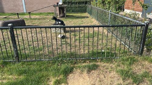 Hekken, Tuin en Terras, Tuinhekken en Hekwerk, Zo goed als nieuw, Tuinhek, IJzer, Ophalen