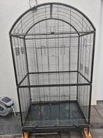 2 More Darwin Volieren zu verkaufen, Meerdere dieren