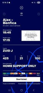 Ajax - Benfica vak 425, Tickets en Kaartjes, Evenementen en Festivals, Eén persoon