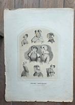 Litho provincie Noord Holland, Ophalen of Verzenden